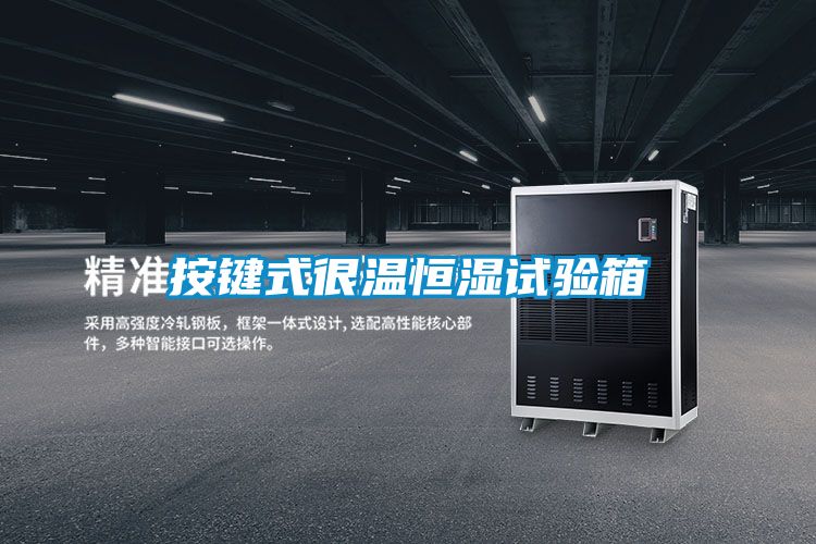 欧美黄色电影在线播放 按键式很温恒湿试验箱