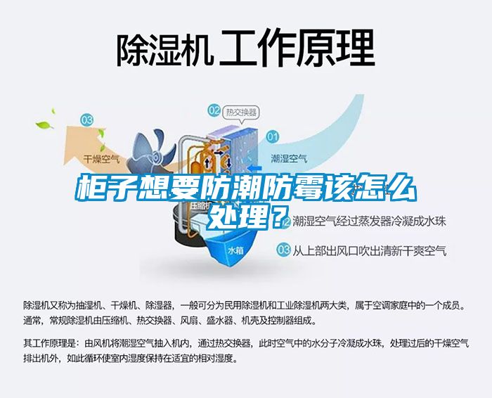欧美黄色电影在线播放 柜子想要防潮防霉该怎么处理？