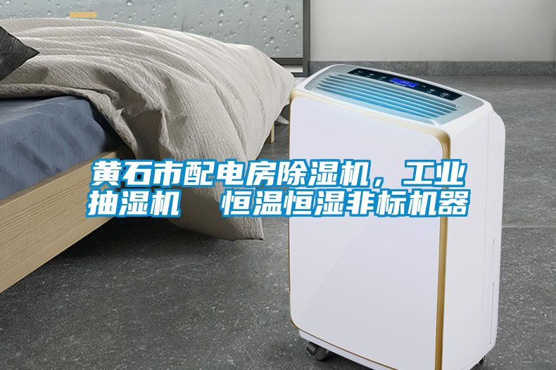 欧美黄色性爱视频网站 黄石市配电房除湿机，工业抽湿机  恒温恒湿非标机器