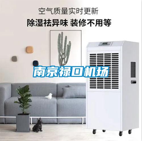 南京禄口机场
