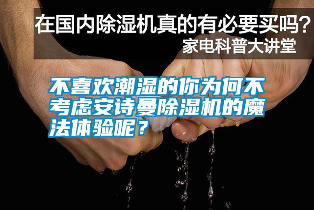 欧美黄色性爱视频网站 不喜欢潮湿的你为何不考虑安诗曼除湿机的魔法体验呢？