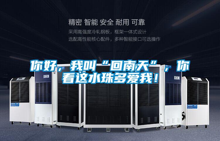 欧美黄色电影在线播放 你好，我叫“回南天”，你看这水珠多爱我！