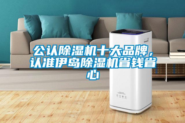 欧美黄色电影在线播放 公认除湿机十大品牌，认准伊岛除湿机省钱省心