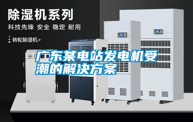 欧美成色手机在线观看 广东某电站发电机受潮的解决方案