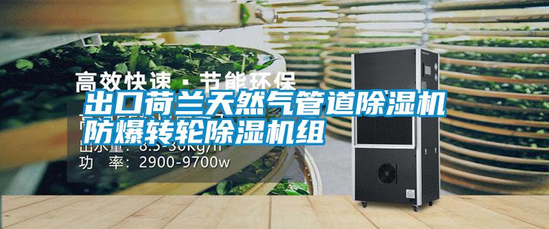 欧美成色手机在线观看 出口荷兰天然气管道除湿机 防爆转轮除湿机组