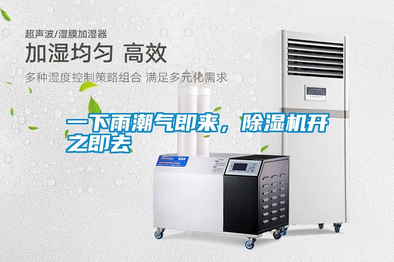 一下雨潮气即来，除湿机开之即去