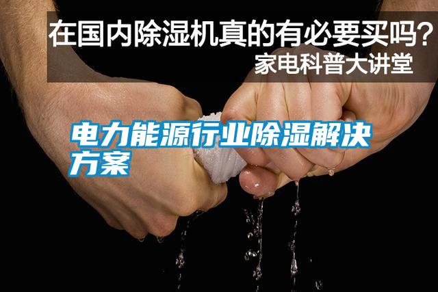 欧美成色手机在线观看 电力能源行业除湿解决方案