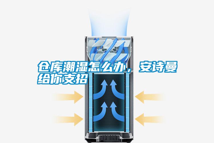 欧美黄色性爱视频网站 仓库潮湿怎么办，安诗曼给你支招