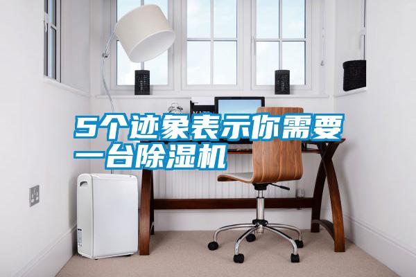 欧美成色手机在线观看 5个迹象表示你需要一台除湿机