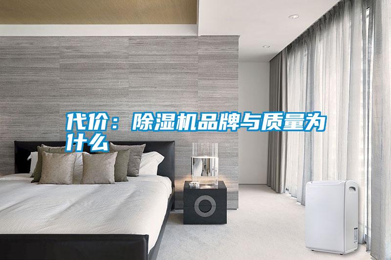 欧美黄色性爱视频网站 代价：除湿机品牌与质量为什么