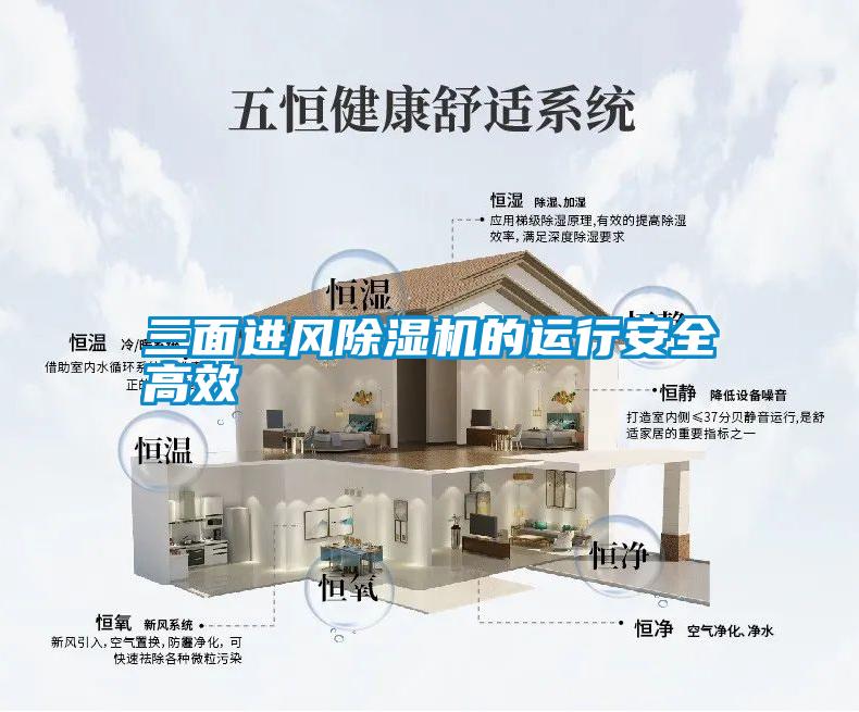 欧美成色手机在线观看 三面进风除湿机的运行安全高效