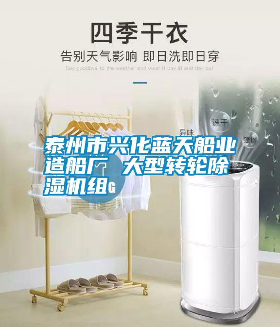 欧美成色手机在线观看 泰州市兴化蓝天船业造船厂 大型转轮除湿机组