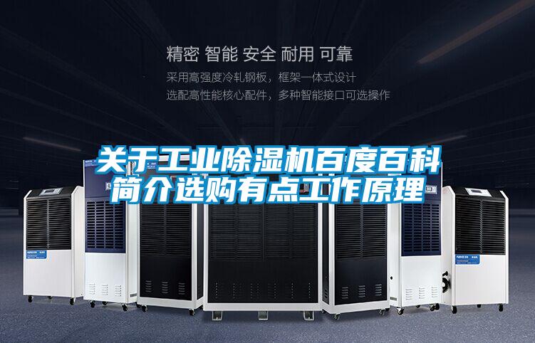 欧美黄色电影在线播放 关于工业除湿机百度百科简介选购有点工作原理