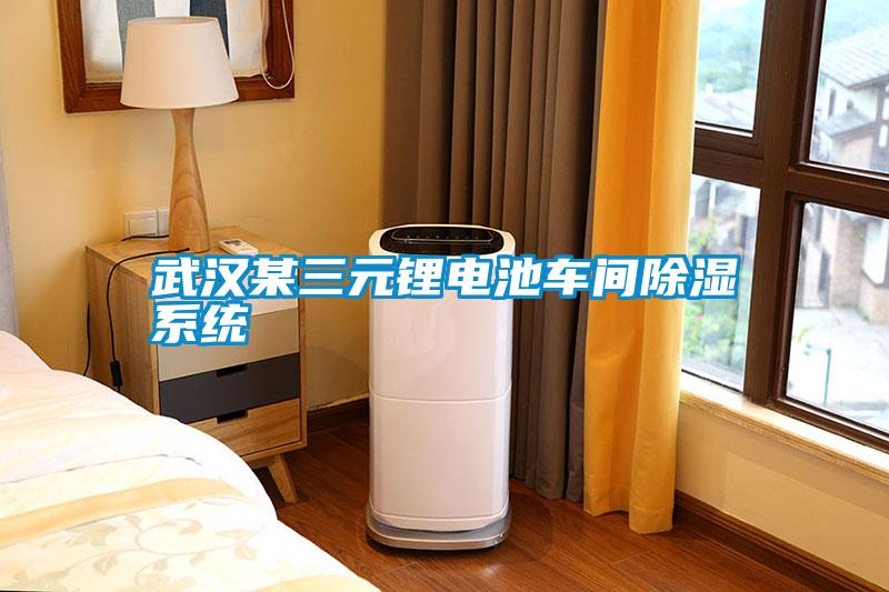 欧美成色手机在线观看 武汉某三元锂电池车间除湿系统