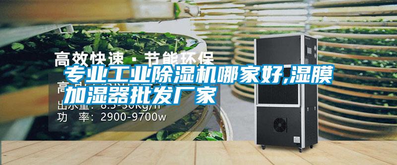 欧美黄色电影在线播放 专业工业除湿机哪家好,湿膜加湿器批发厂家