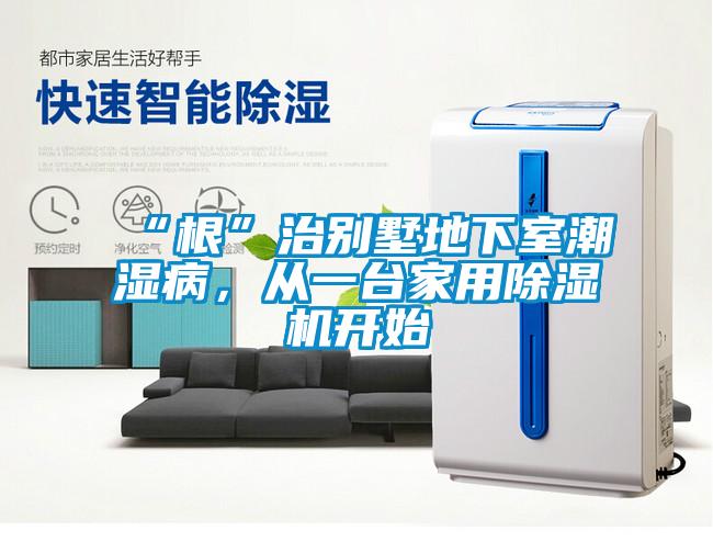 欧美黄色性爱视频网站 “根”治别墅地下室潮湿病，从一台家用除湿机开始