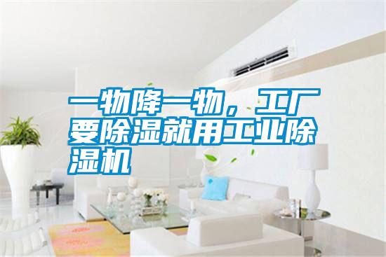 欧美成色手机在线观看 一物降一物，工厂要除湿就用工业除湿机