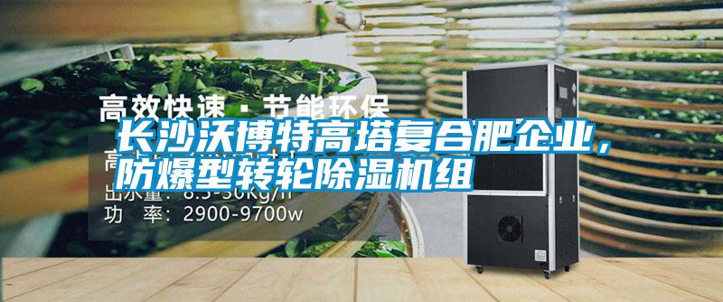 欧美黄色性爱视频网站 长沙沃博特高塔复合肥企业，防爆型转轮除湿机组