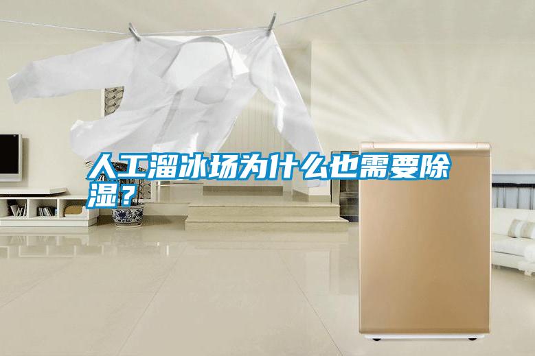 欧美黄色性爱视频网站 人工溜冰场为什么也需要除湿？