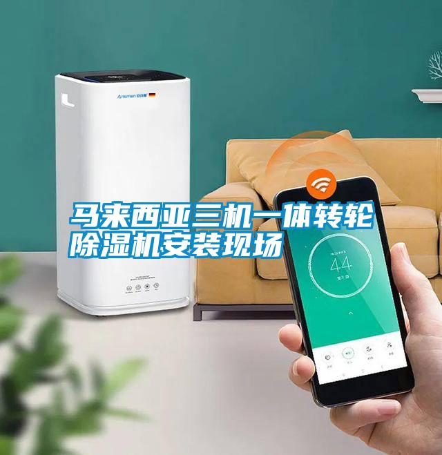 欧美成色手机在线观看 马来西亚三机一体转轮除湿机安装现场