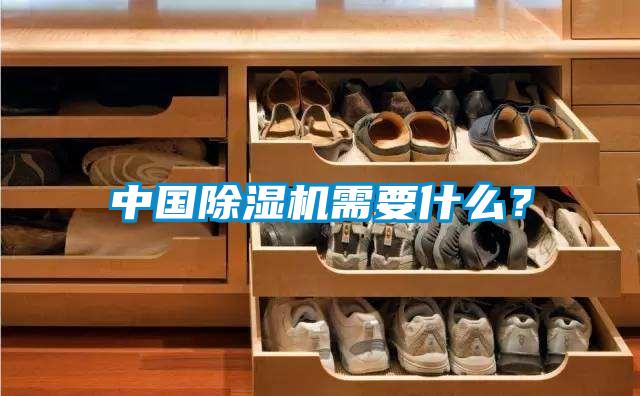 欧美黄色性爱视频网站 中国除湿机需要什么？