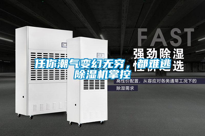 欧美黄色电影在线播放 任你潮气变幻无穷，都难逃除湿机掌控