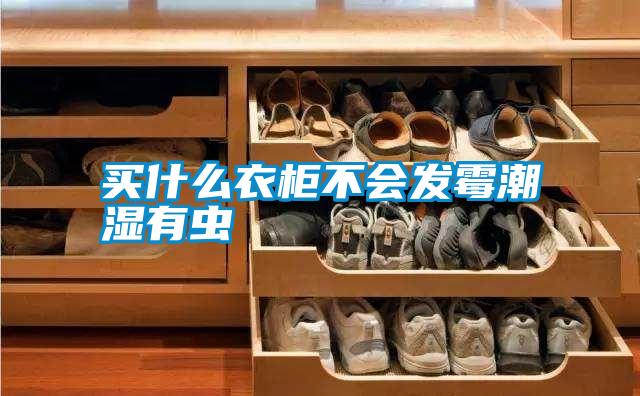 欧美黄色电影在线播放 买什么衣柜不会发霉潮湿有虫