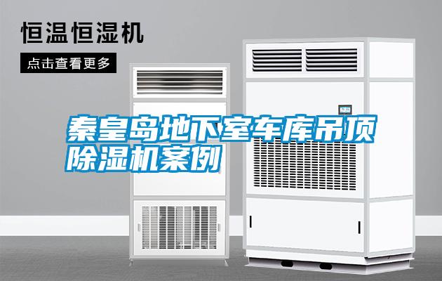 欧美黄色电影在线播放 秦皇岛地下室车库吊顶除湿机案例