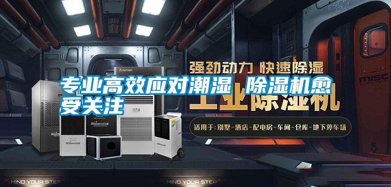 欧美黄色电影在线播放 专业高效应对潮湿 除湿机愈受关注