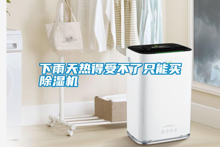 欧美成色手机在线观看 下雨天热得受不了只能买除湿机