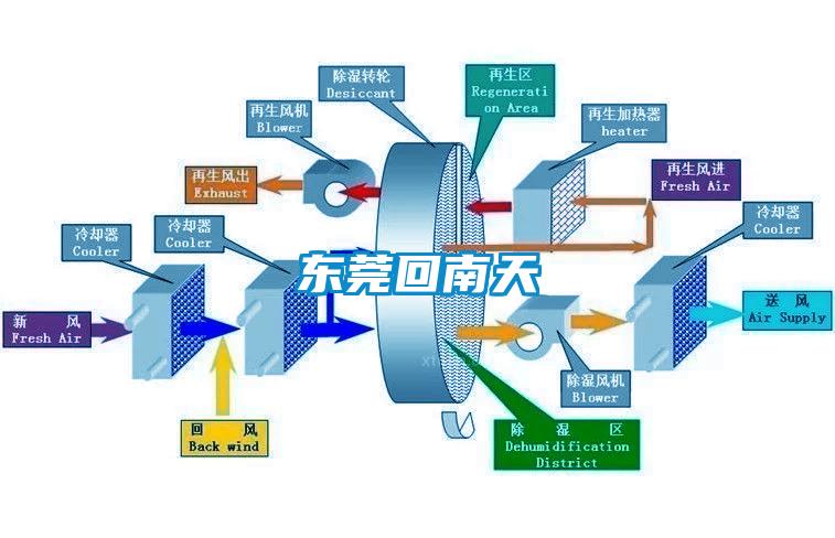 东莞回南天