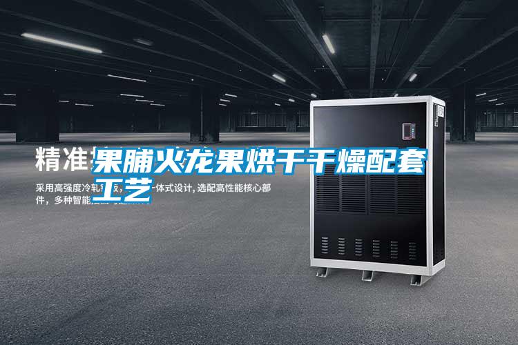 欧美黄色性爱视频网站 果脯火龙果烘干干燥配套工艺