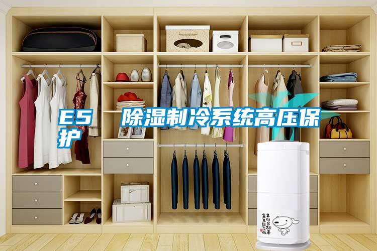 欧美黄色电影在线播放 E5  除湿制冷系统高压保护