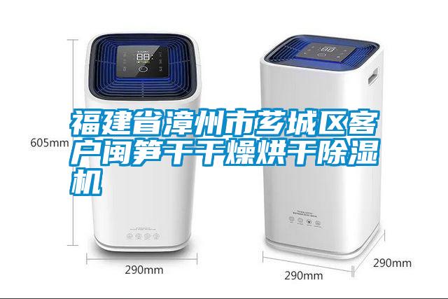欧美成色手机在线观看 福建省漳州市芗城区客户闽笋干干燥烘干除湿机