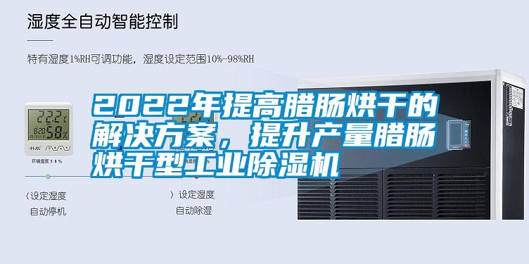 2022年提高腊肠烘干的解决方案，提升产量腊肠烘干型工业除湿机