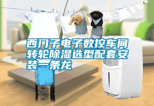 欧美成色手机在线观看 西门子电子数控车间转轮除湿选型配套安装一条龙