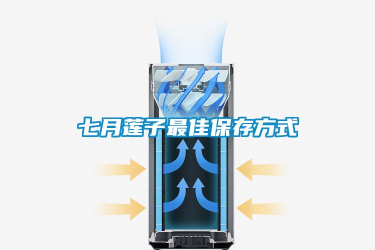 欧美成色手机在线观看 七月莲子最佳保存方式