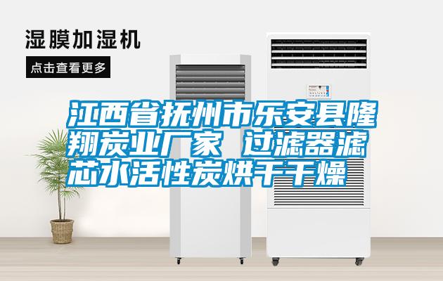 欧美黄色性爱视频网站 江西省抚州市乐安县隆翔炭业厂家 过滤器滤芯水活性炭烘干干燥