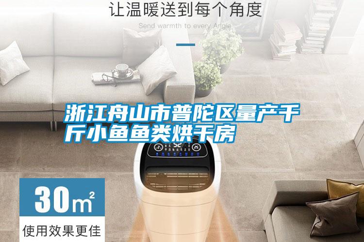 欧美成色手机在线观看 浙江舟山市普陀区量产千斤小鱼鱼类烘干房