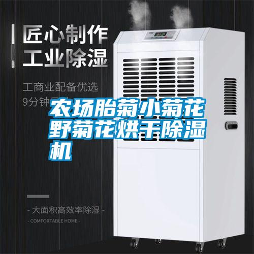 欧美成色手机在线观看 农场胎菊小菊花野菊花烘干除湿机