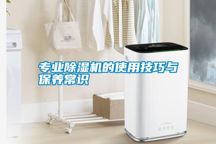 欧美黄色电影在线播放 专业除湿机的使用技巧与保养常识