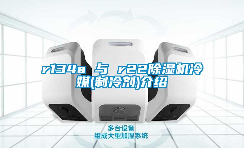 欧美黄色性爱视频网站 r134a 与 r22除湿机冷媒(制冷剂)介绍