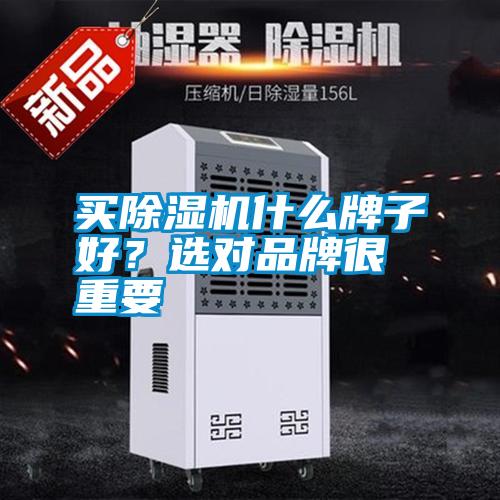欧美黄色性爱视频网站 买除湿机什么牌子好？选对品牌很重要