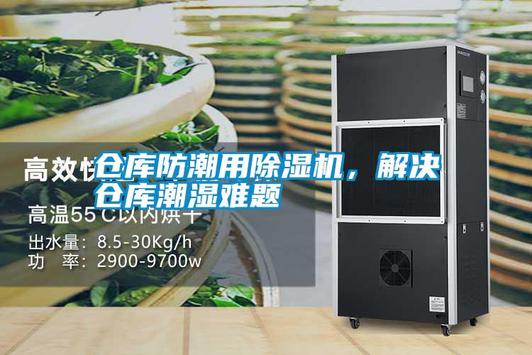 欧美黄色性爱视频网站 仓库防潮用除湿机，解决仓库潮湿难题