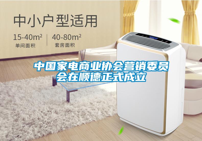 欧美成色手机在线观看 中国家电商业协会营销委员会在顺德正式成立
