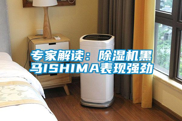 专家解读：除湿机黑马ISHIMA表现强劲