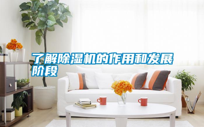 欧美成色手机在线观看 了解除湿机的作用和发展阶段