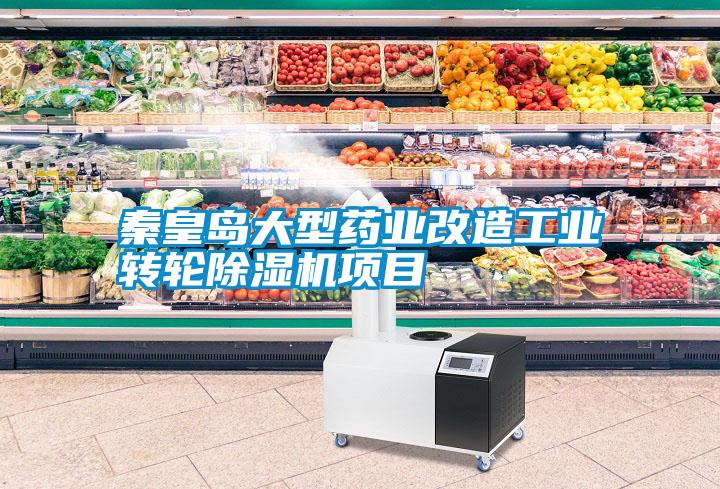 欧美黄色性爱视频网站 秦皇岛大型药业改造工业转轮除湿机项目