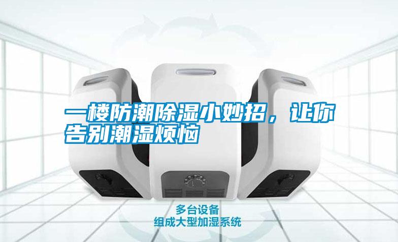 欧美黄色性爱视频网站 一楼防潮除湿小妙招，让你告别潮湿烦恼
