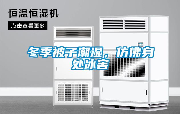 冬季被子潮湿，仿佛身处冰窖
